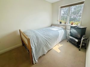 Photo 11- click for photo gallery